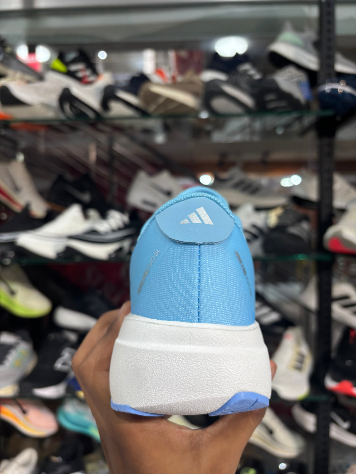 Adizero Evo SL Running Shoes(blue)